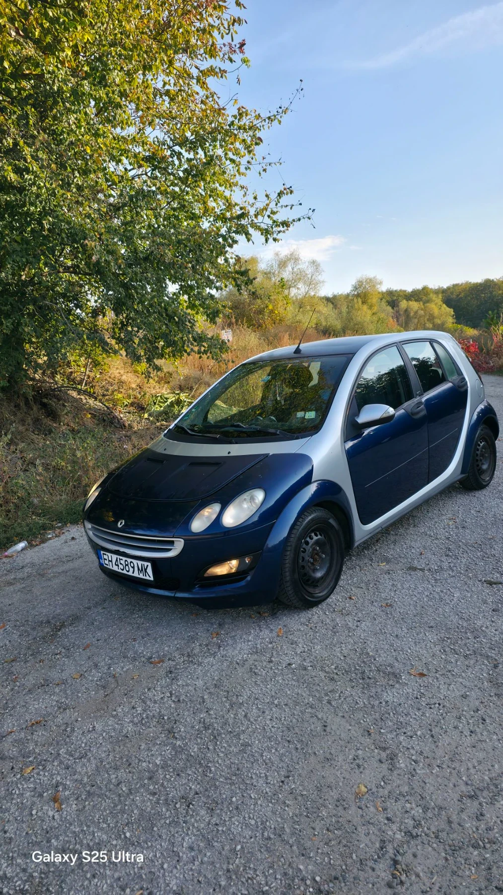 Smart Forfour 1.3i