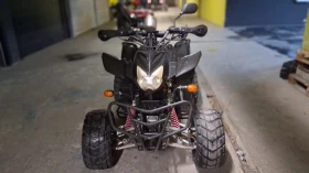 Dinli Centhor 300, снимка 1