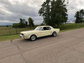     Ford Mustang V8
