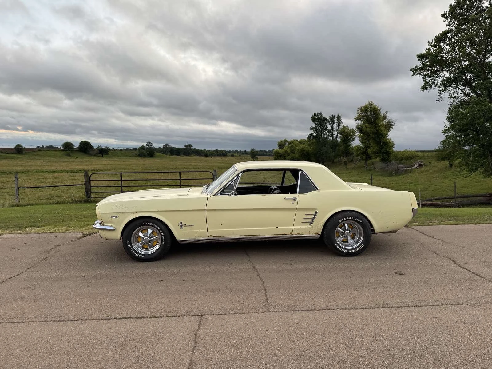 Ford Mustang V8 - изображение 2