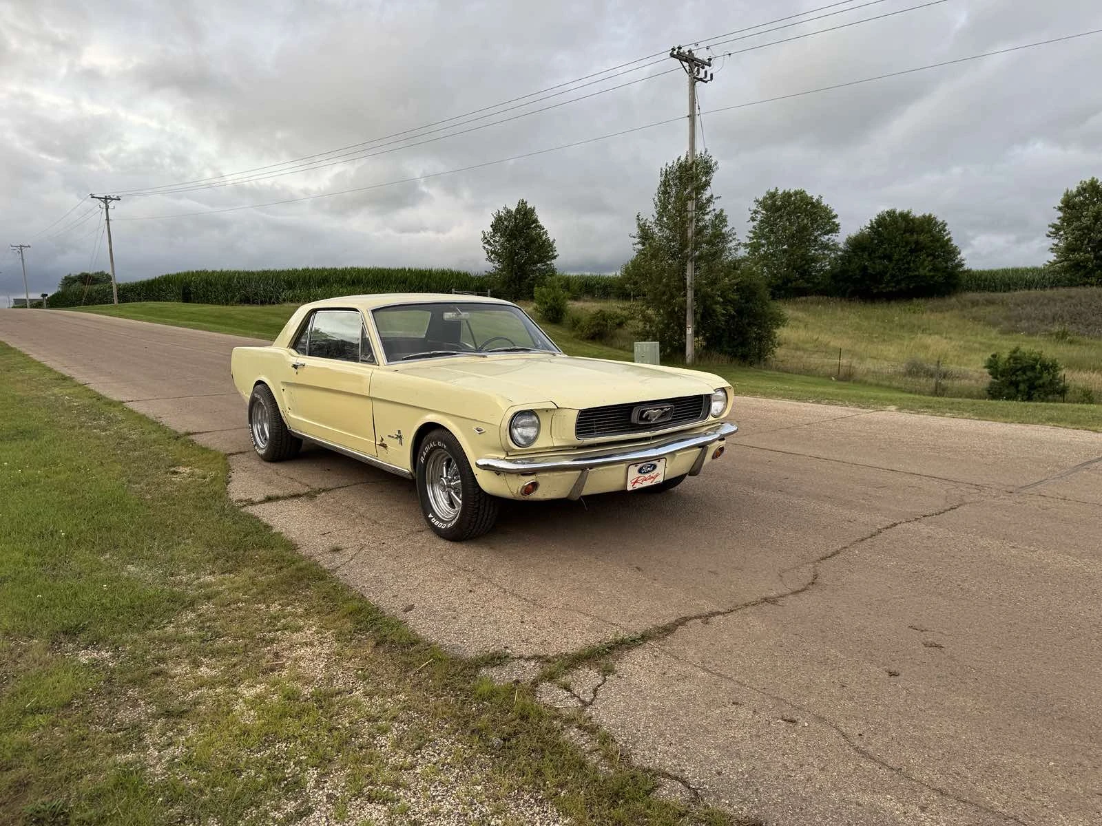 Ford Mustang V8 - изображение 3