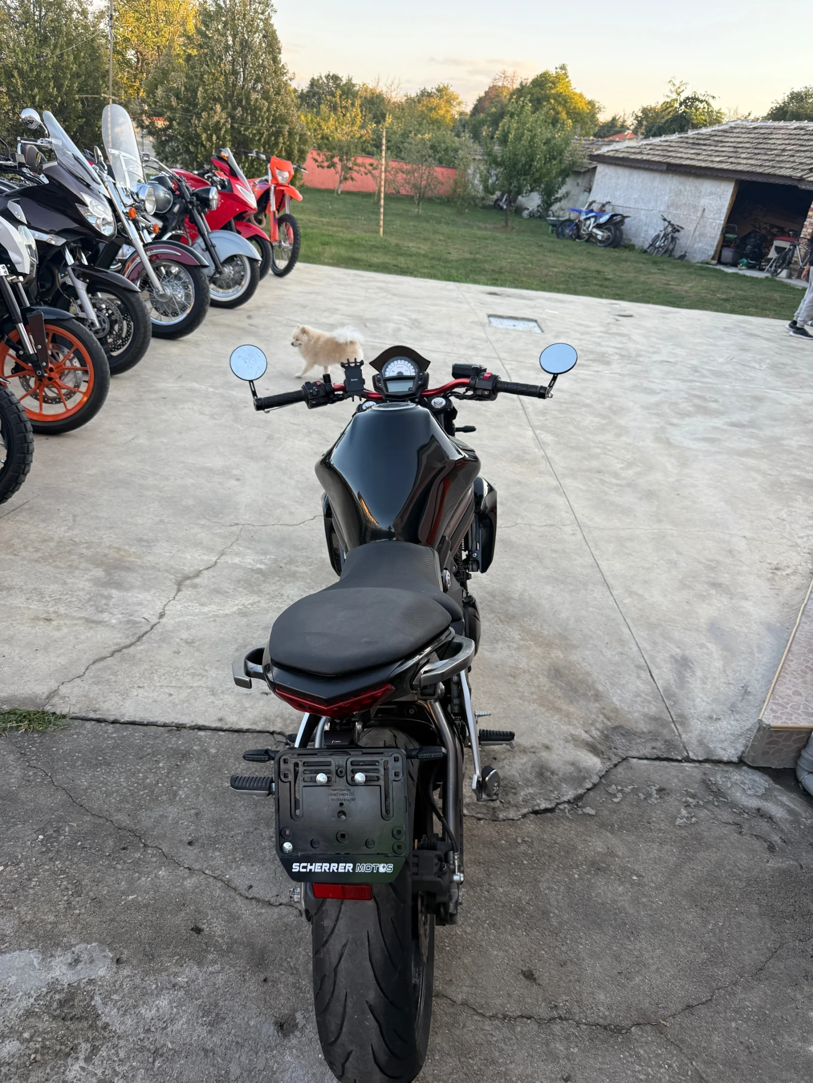 Kawasaki ER 6n A2, снимка 8 - Мотоциклети и мототехника - 56363938
