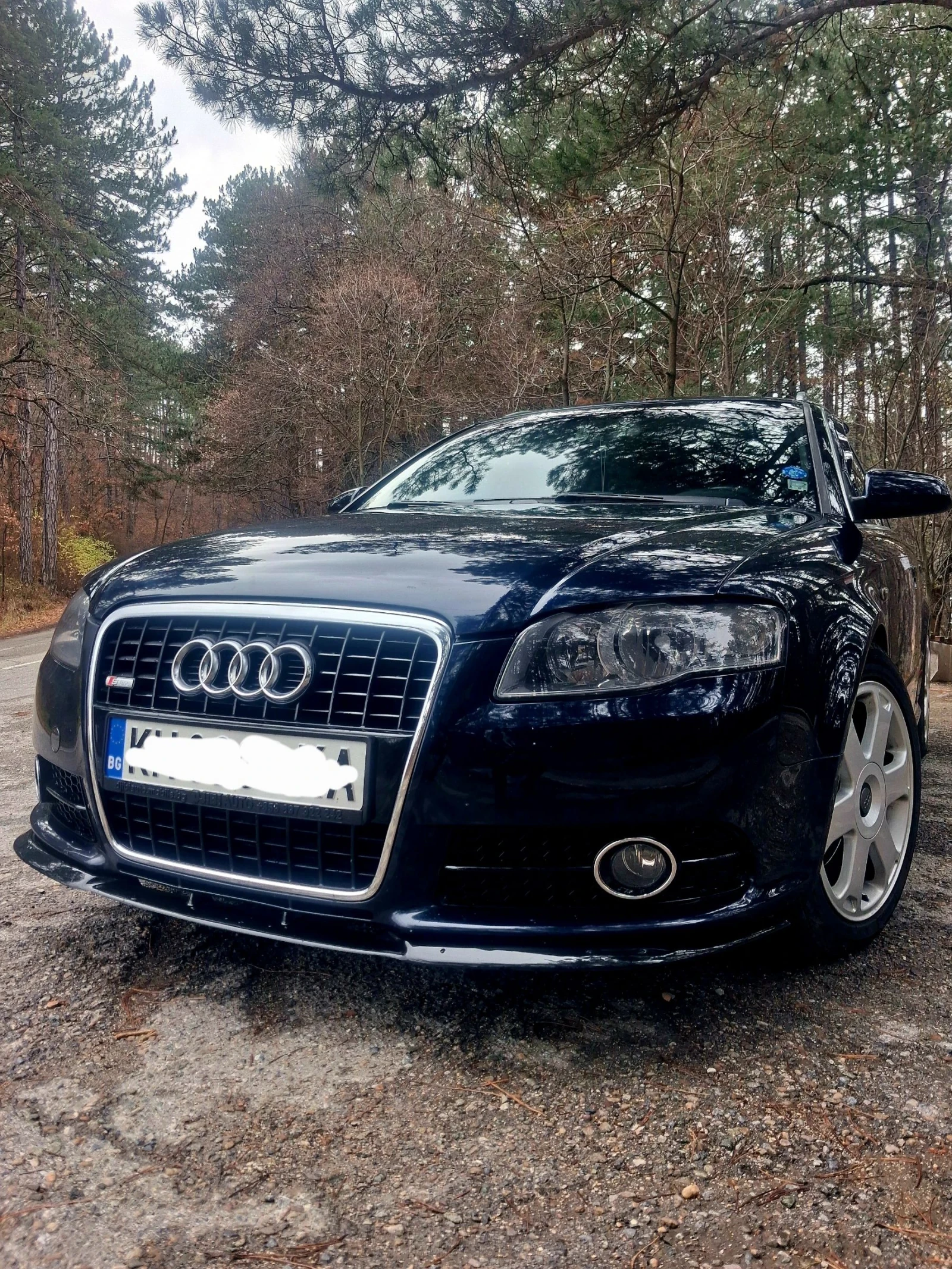 Audi A4 Audi A4/2.0 TDI/170+ /BRD/QUATTRO/Bosch system | Mobile.bg � ����������� 1
