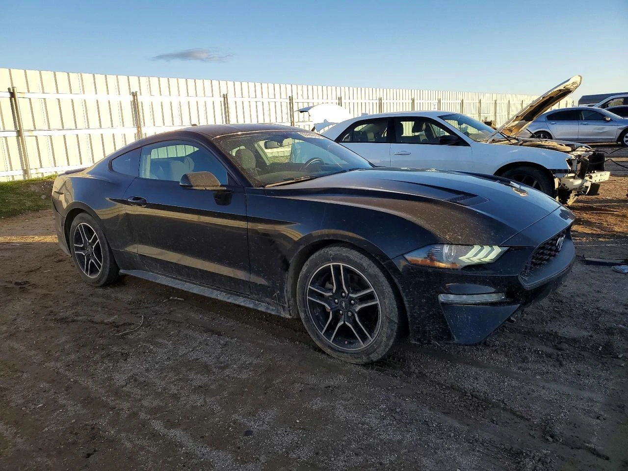 Ford Mustang 2.3l, снимка 4 - Автомобили и джипове - 53756230