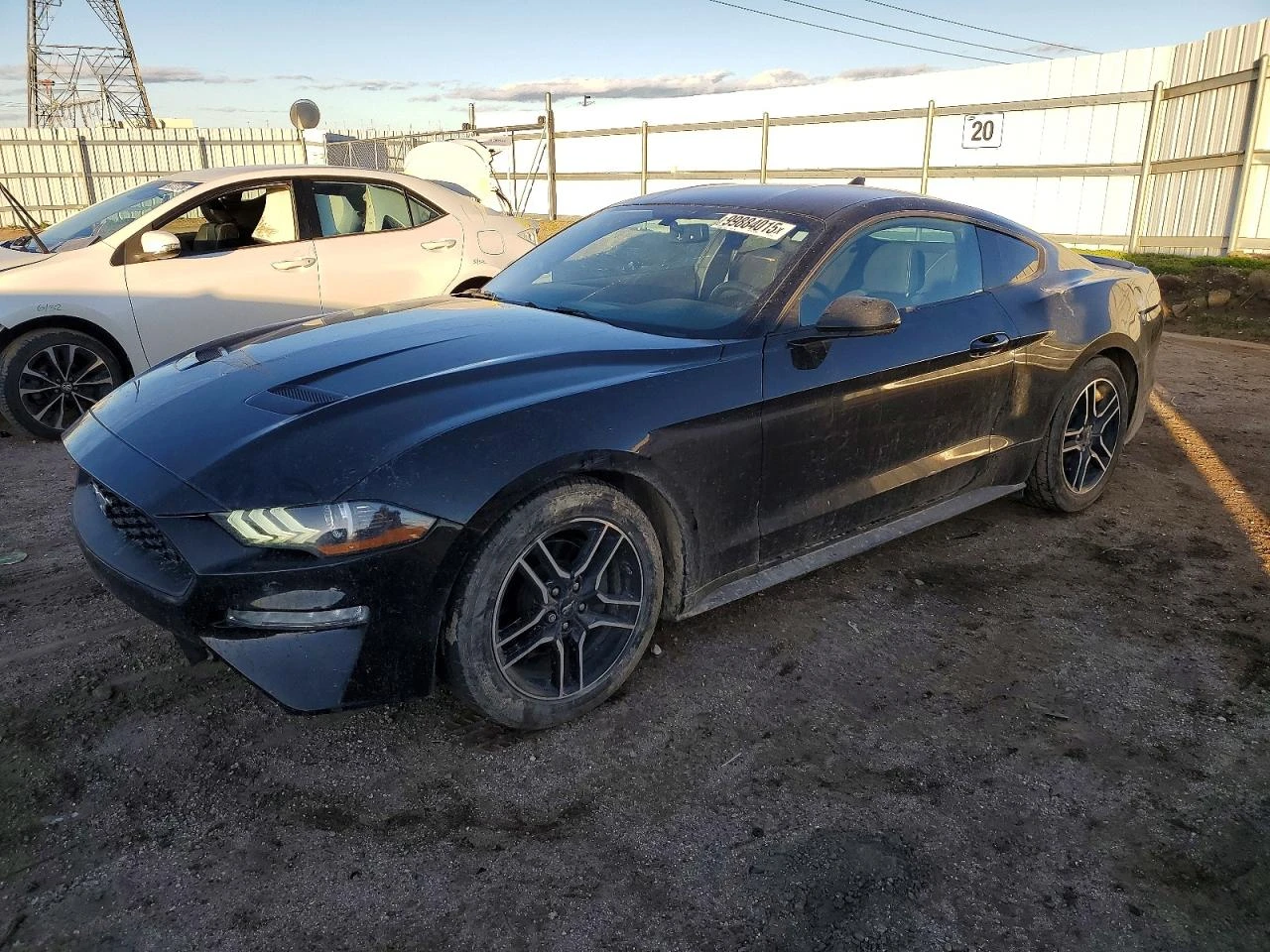 Ford Mustang 2.3l