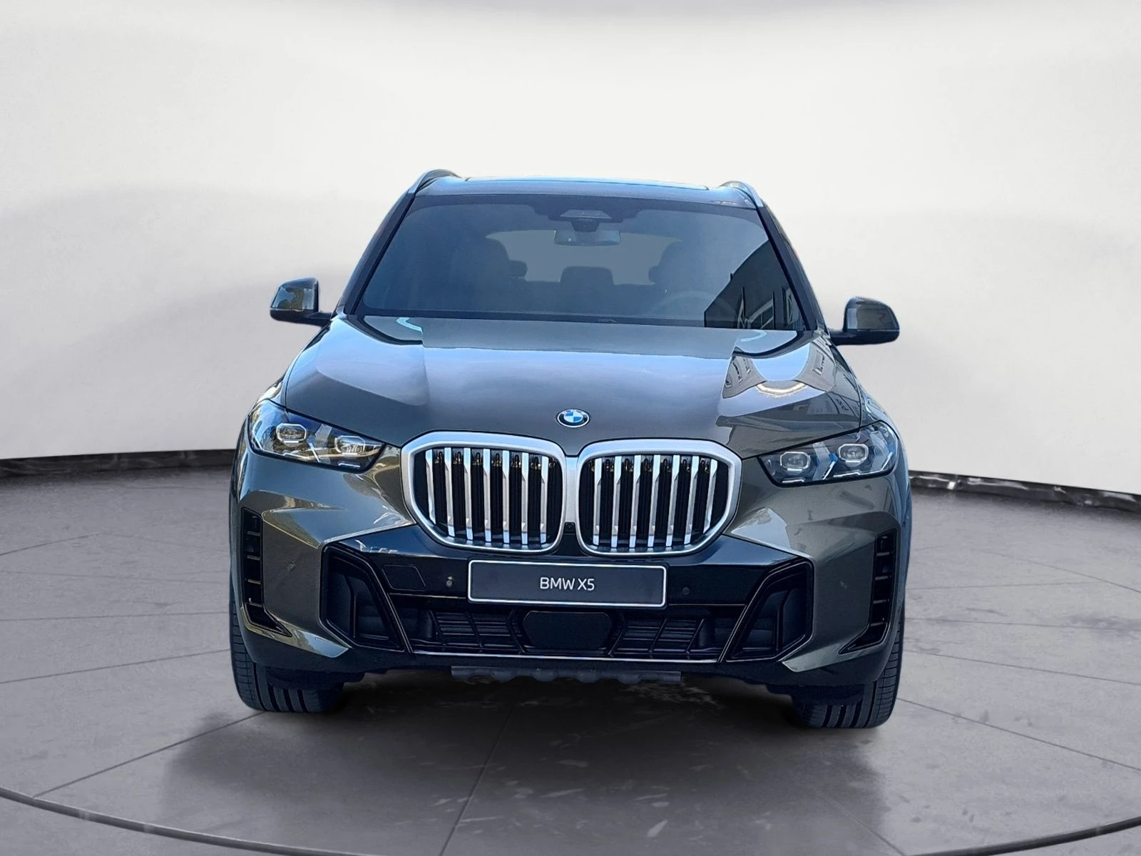 BMW X5 4.0 i XDrive - изображение 2