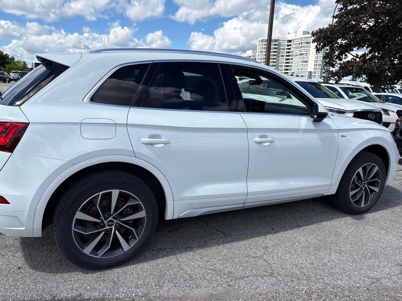 Audi Q5  Progressiv / CARFAX / АВТОКРЕДИТ , снимка 3 - Автомобили и джипове - 55026622