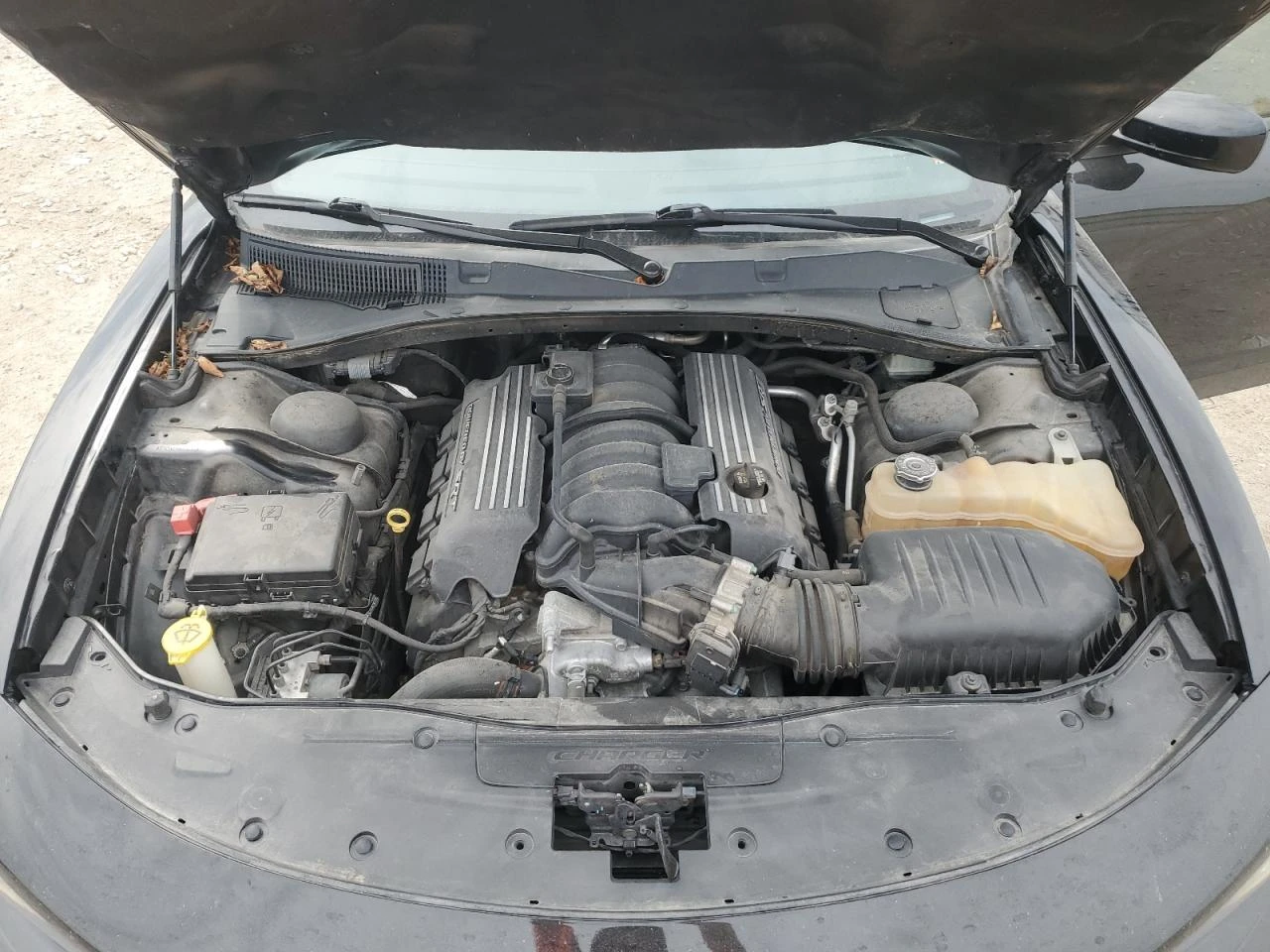 Dodge Charger R/T* 6.4 V8*   | Mobile.bg   11