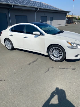 Nissan Maxima | Mobile.bg    2