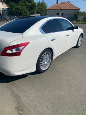 Nissan Maxima | Mobile.bg    6