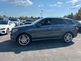 Mercedes-Benz ML 550 * CARFAX * ОПЦИЯ ЗА ФИНАНСИРАНЕ | Auto.bg — изображение 2