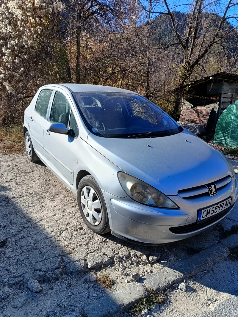 Peugeot 307 2.0HDI 90к.с., снимка 3 - Автомобили и джипове - 47900893