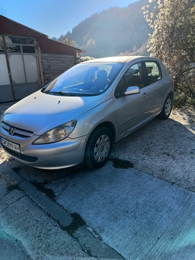 Peugeot 307 2.0HDI 90к.с., снимка 2 - Автомобили и джипове - 47900893