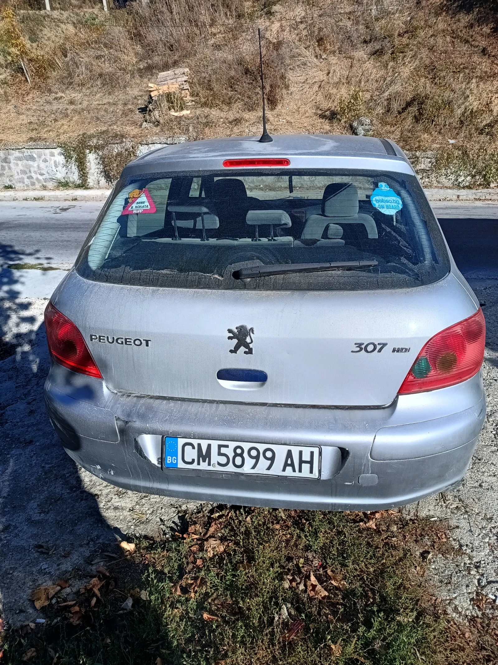 Peugeot 307 2.0HDI 90к.с. - изображение 5