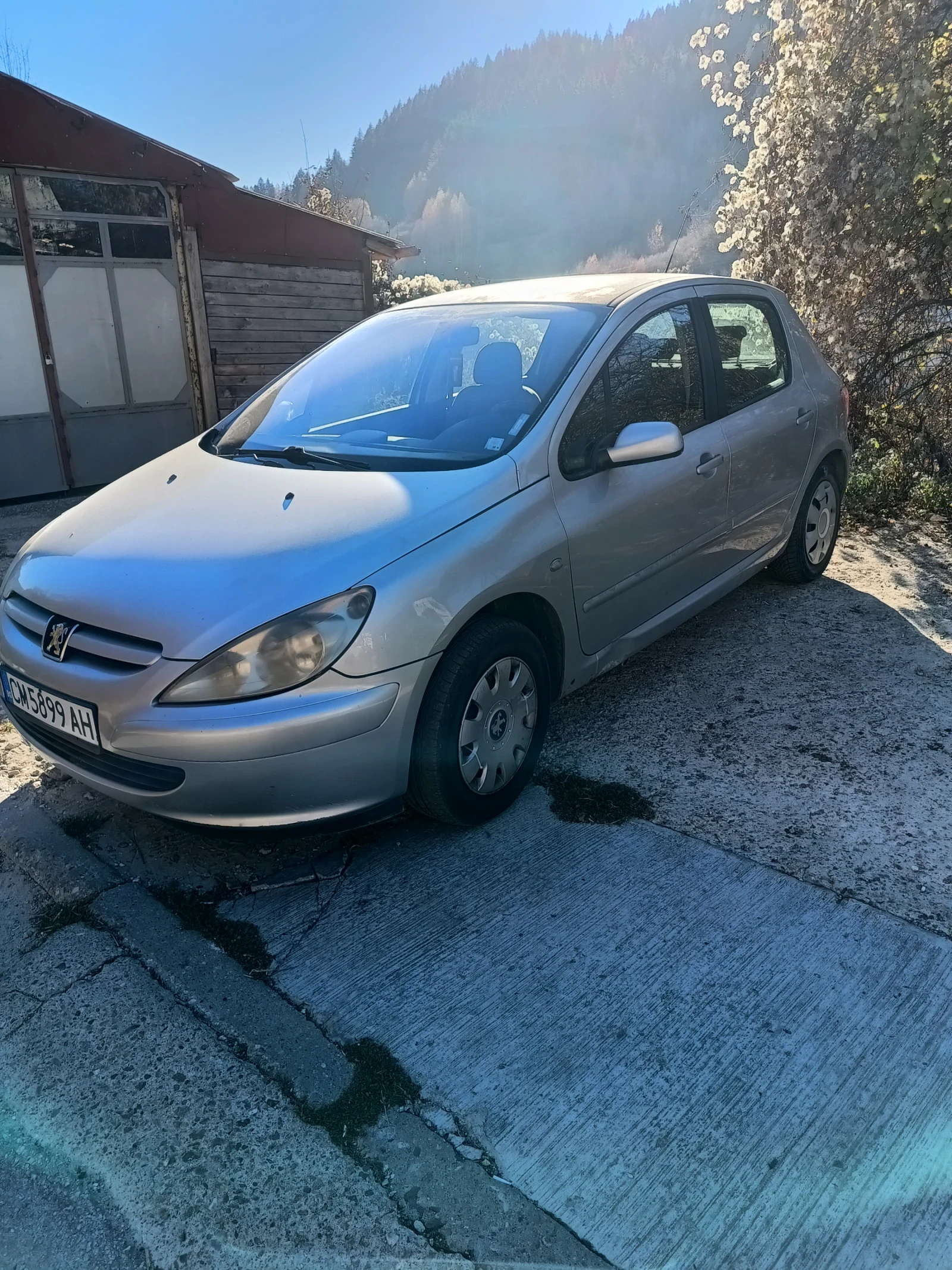 Peugeot 307 2.0HDI 90к.с. - изображение 2