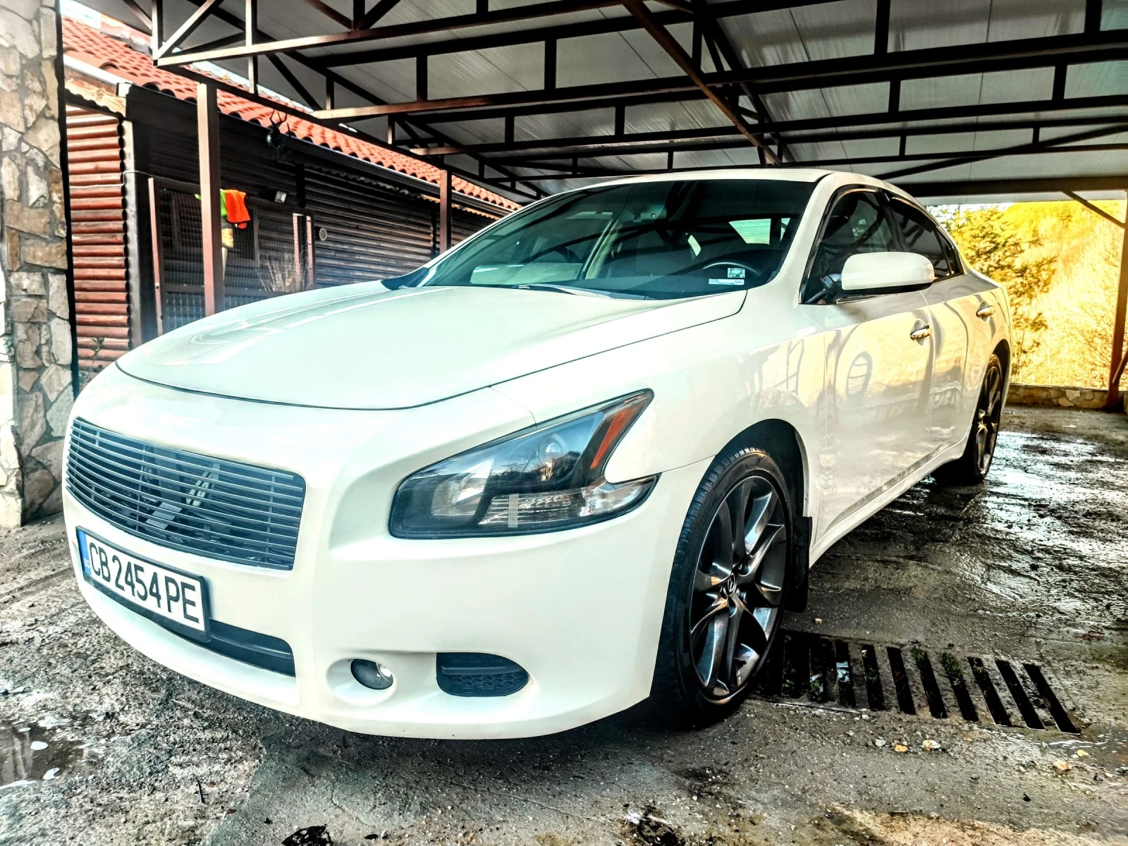 Nissan Maxima 3.5 - изображение 2