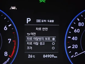 Hyundai Palisade 3.8 2Wd Exclusive, снимка 16