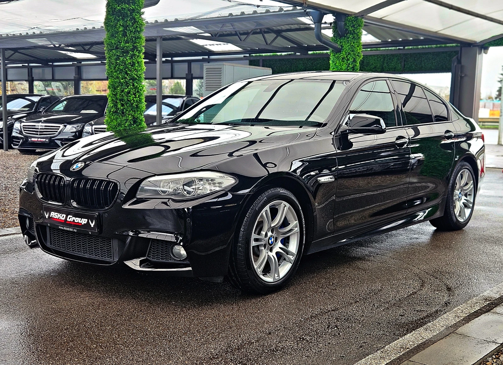 BMW 530 M/XD/SHADOW LINE/GERMANY/ПОДГРЕВ/MEMORY/INDIVIDUAL, снимка 1