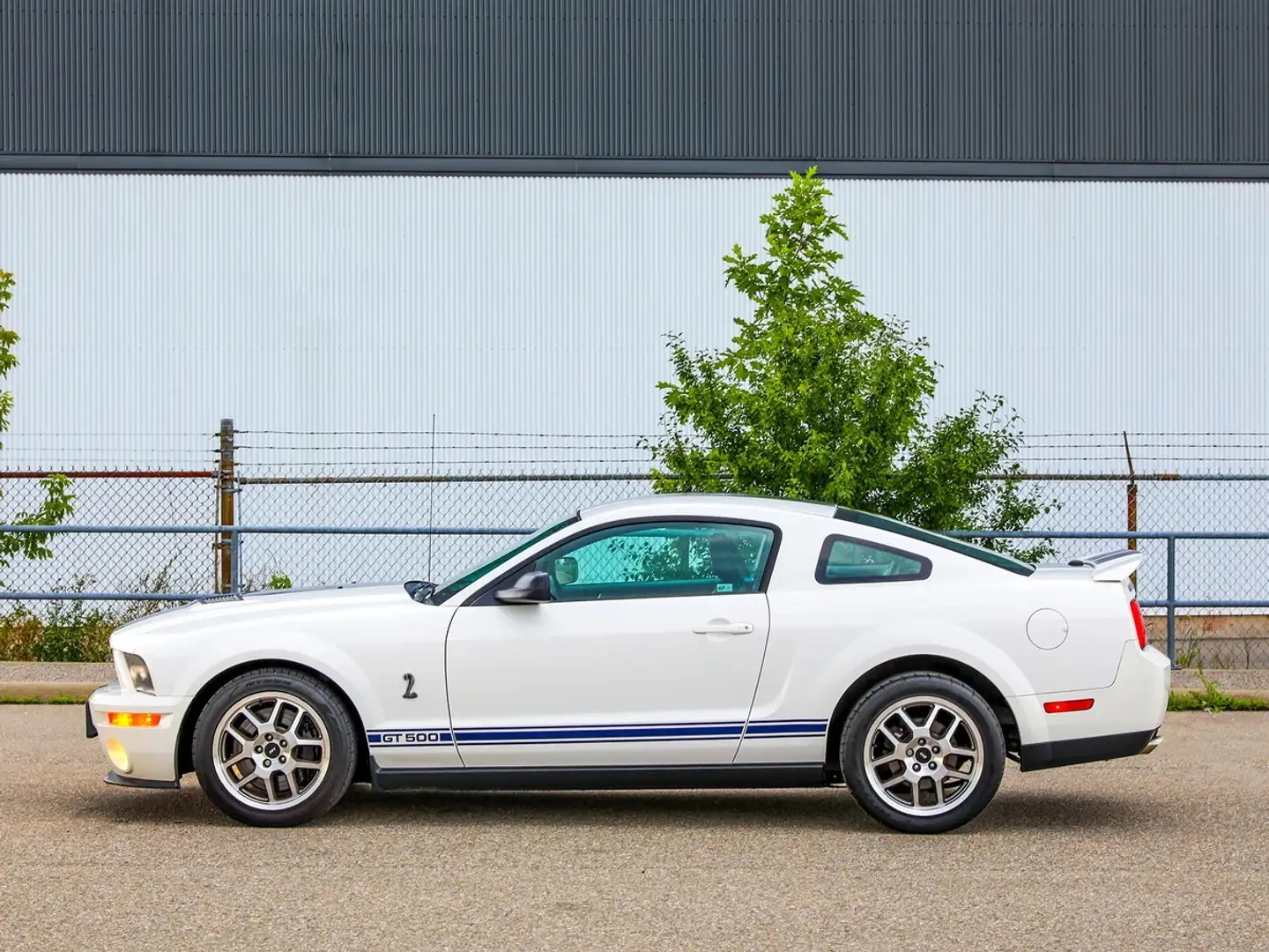 Ford Mustang Shelby GT500, снимка 13 - Автомобили и джипове - 56378705