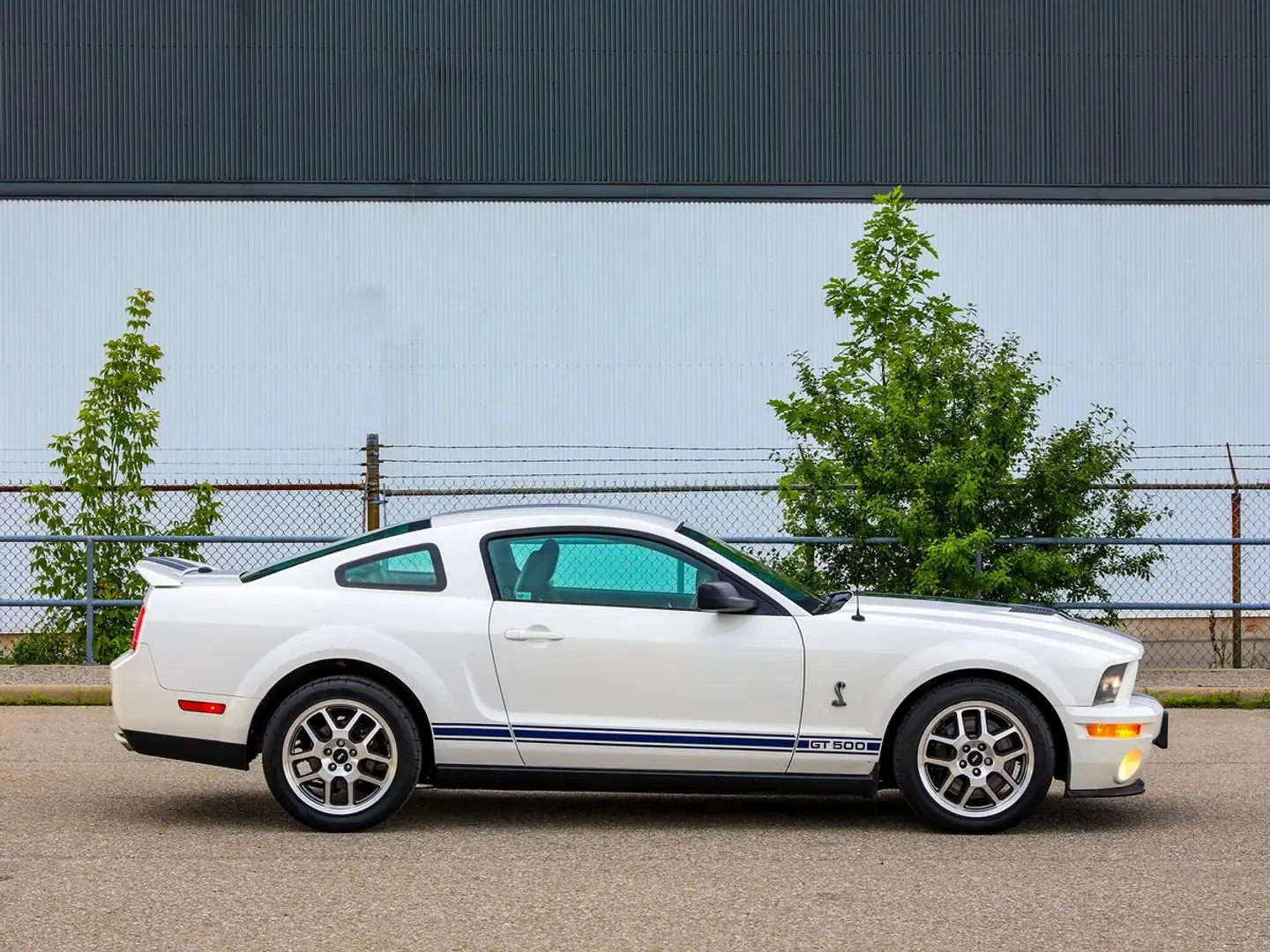 Ford Mustang Shelby GT500, снимка 5 - Автомобили и джипове - 56378705