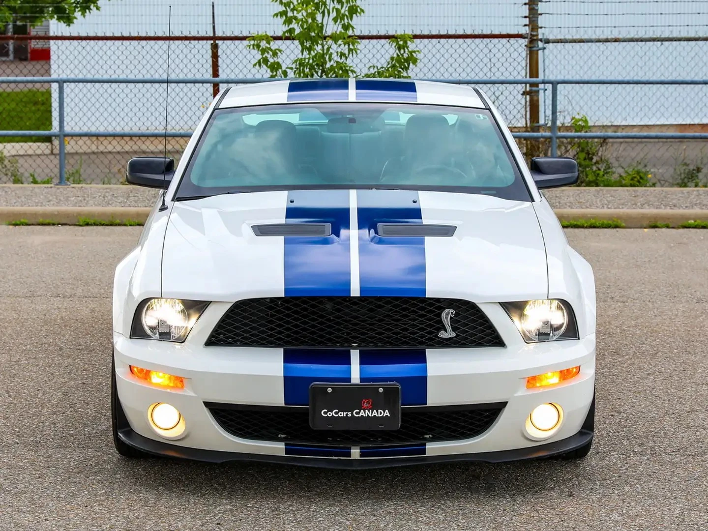 Ford Mustang Shelby GT500, снимка 4 - Автомобили и джипове - 56378705
