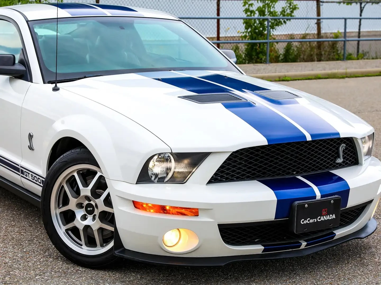 Ford Mustang Shelby GT500