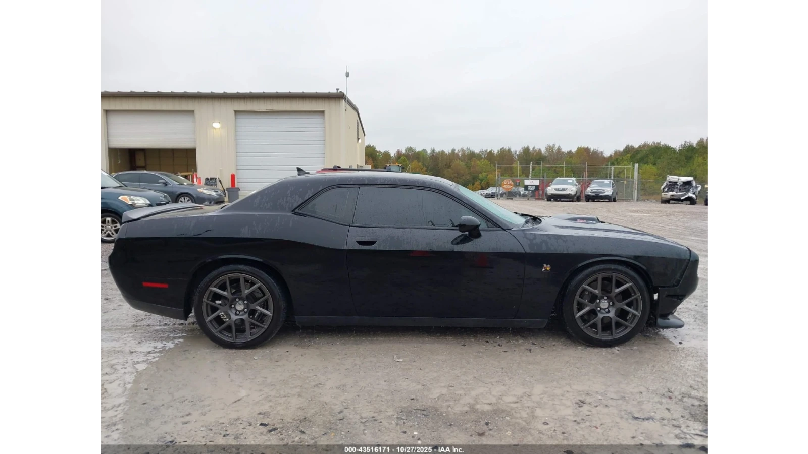 Dodge Challenger HEMI* SCAT* PACK* V8* 6.4* КОЖА* , снимка 5 - Автомобили и джипове - 53961299