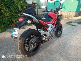 Suzuki Gladius, снимка 10