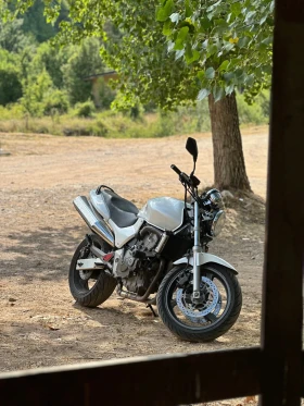 Honda Cbf | Mobile.bg    3