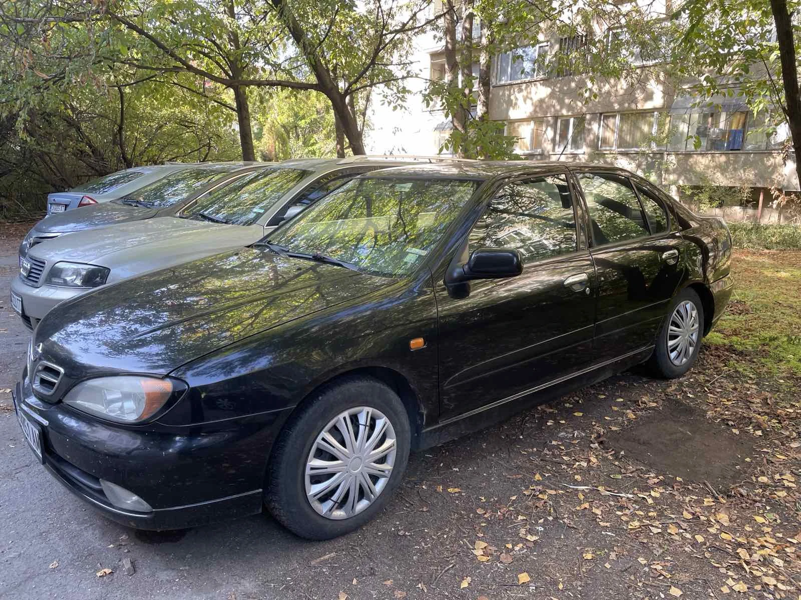 Nissan Primera P11-144 - изображение 2