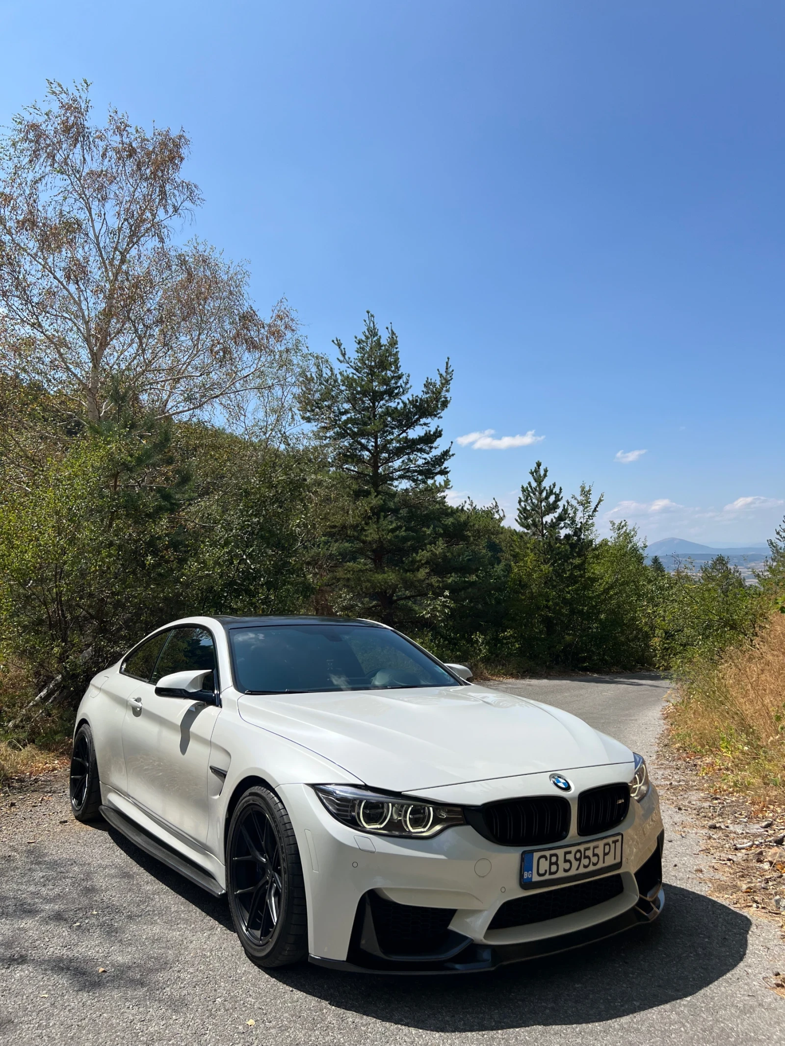 BMW M4 F82  - изображение 4