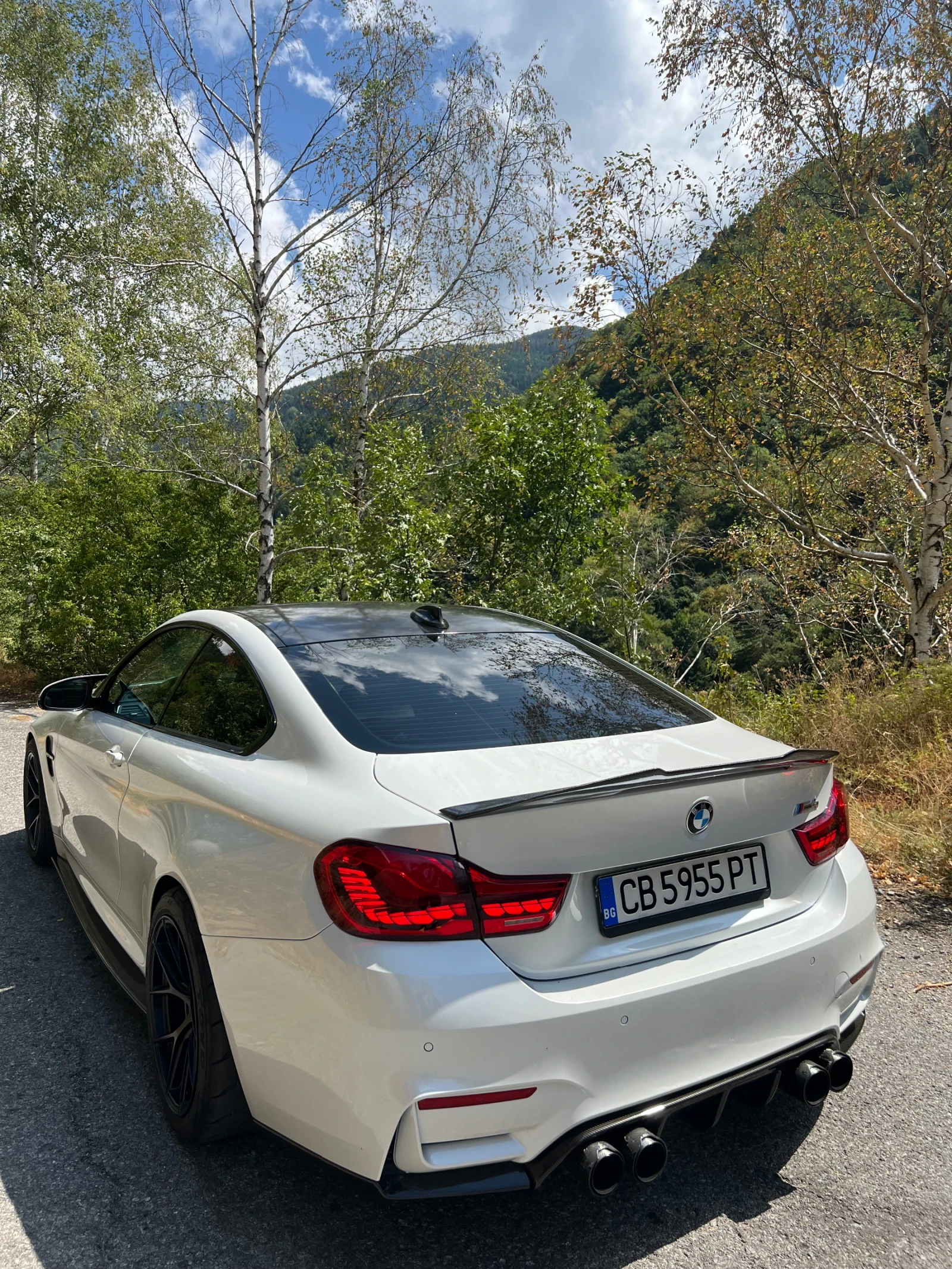 BMW M4 F82  - изображение 8