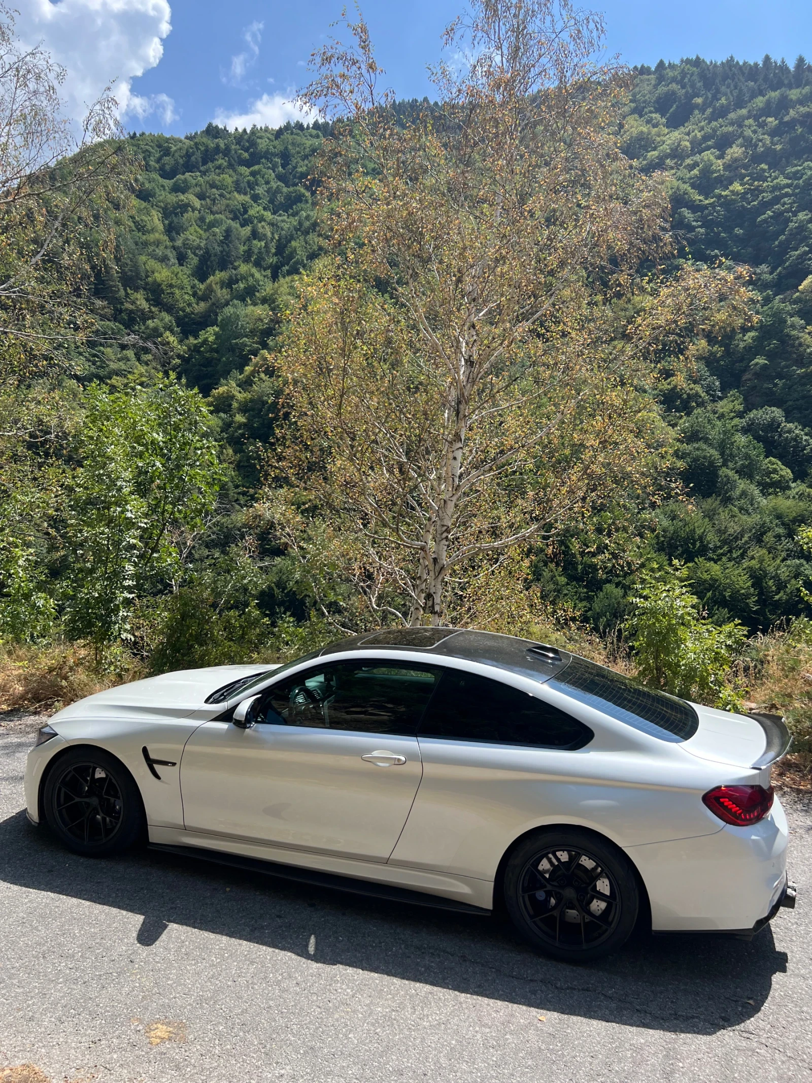 BMW M4 F82  - изображение 5