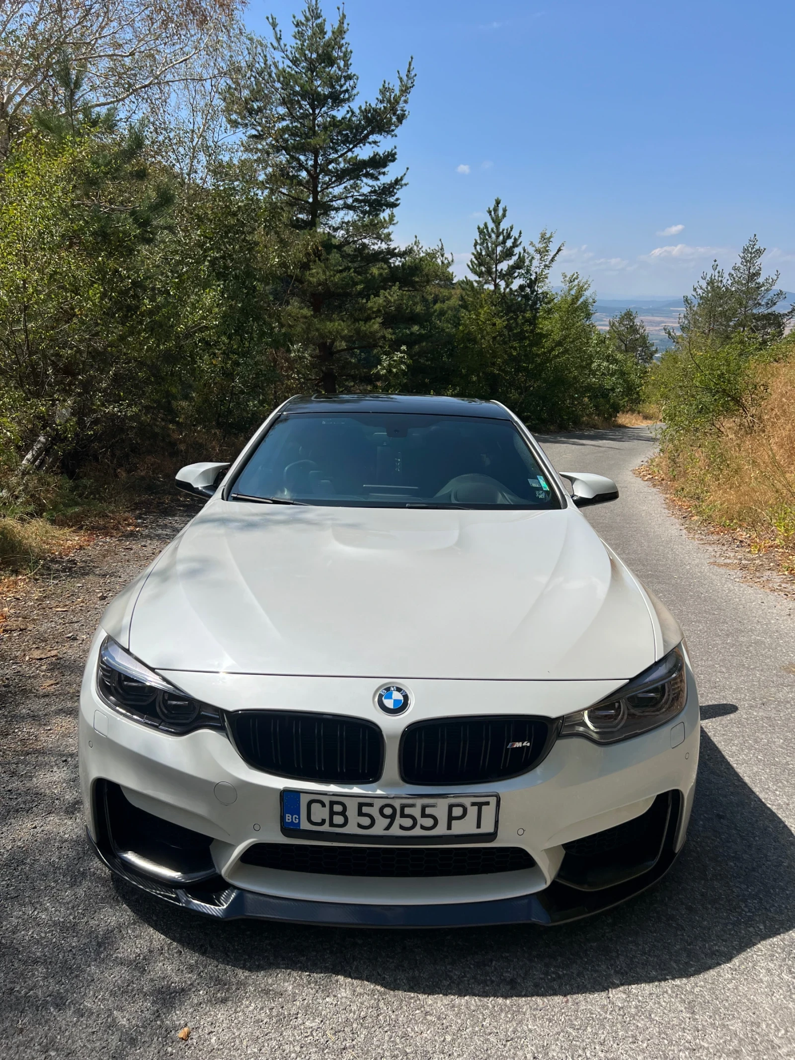 BMW M4 F82  - изображение 10