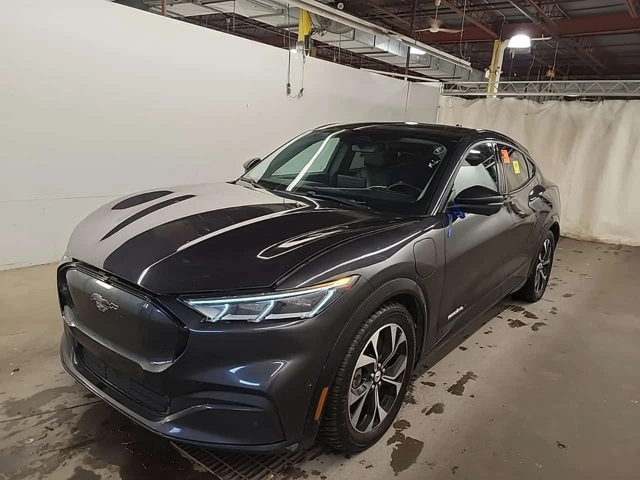 Ford Mustang Mach-E * PREMIUM* ���������� ��� ������������ ������*  | Mobile.bg � ����������� 1