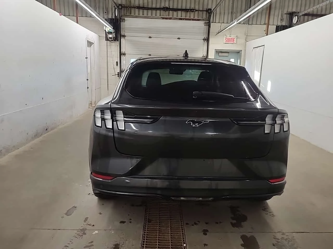 Ford Mustang Mach-E * PREMIUM* ���������� ��� ������������ ������*  | Mobile.bg � ����������� 17