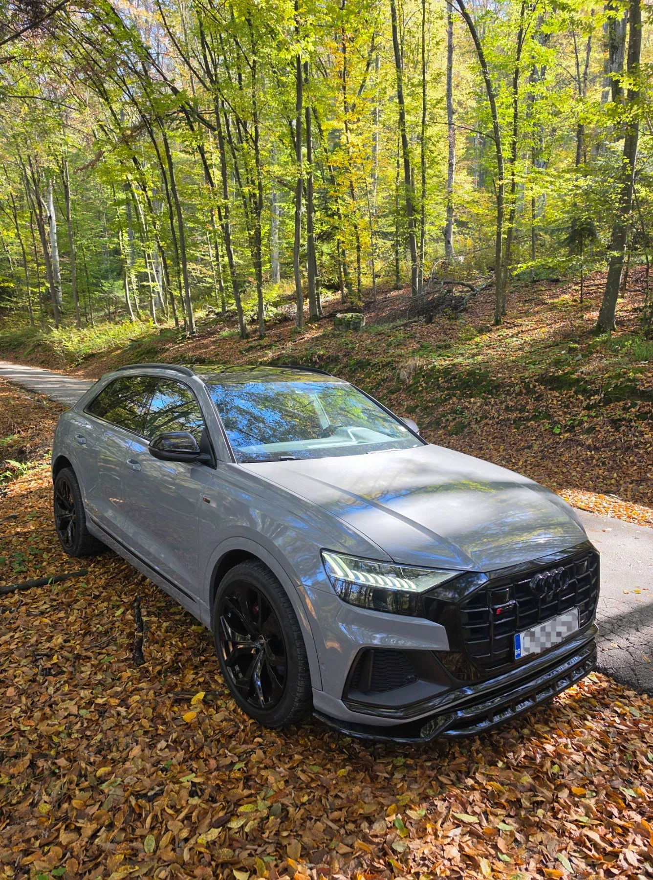 Audi Q8 50TDI Mild hybrid 3xSline