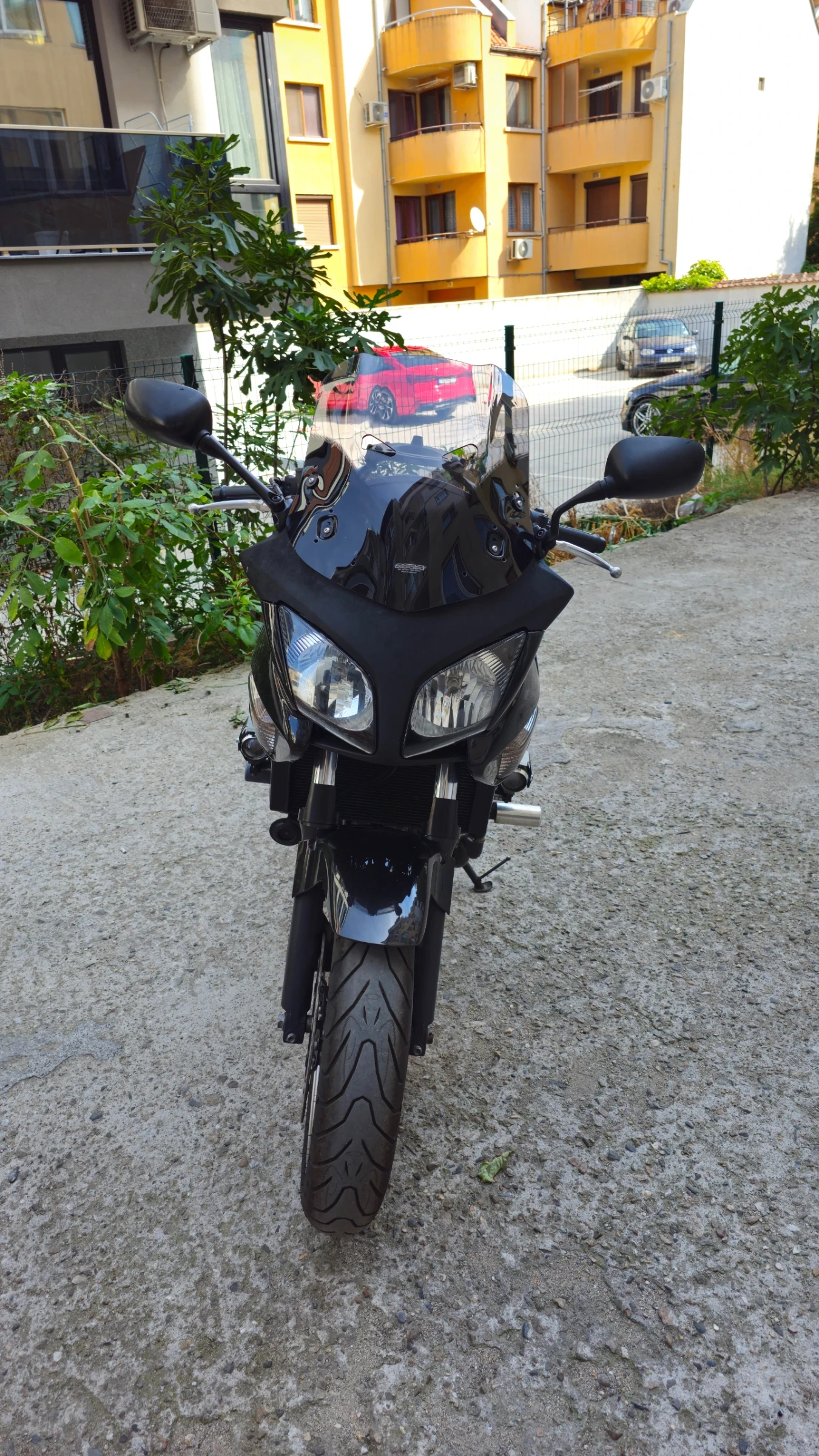 Honda Cbf 600 S - изображение 2