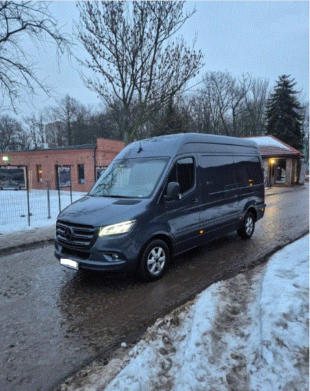 Mercedes-Benz Sprinter 319 3.0 v8, снимка 2 - Бусове и автобуси - 53124809