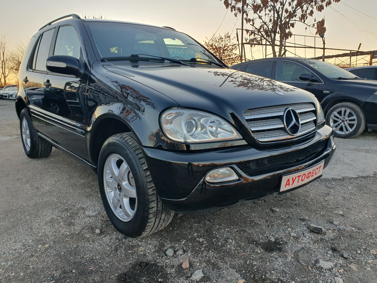 Mercedes-Benz ML 270 CDI  - изображение 4