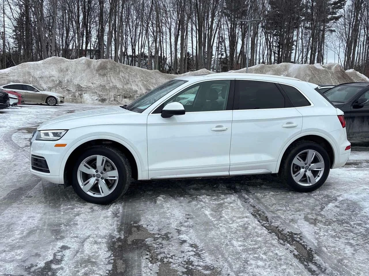 Audi Q5 Technik * CARFAX* 360 КАМЕРИ* ПАНОРАМА - изображение 3