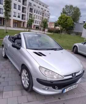     Peugeot 206  - !