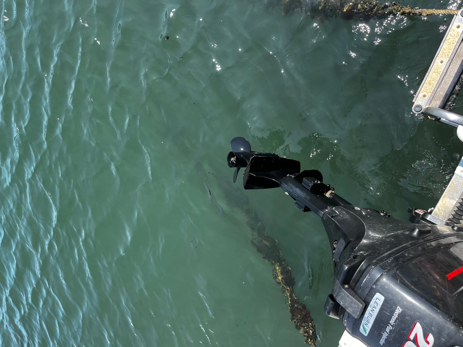   Suzuki Four Stroke 20 | Mobile.bg   17