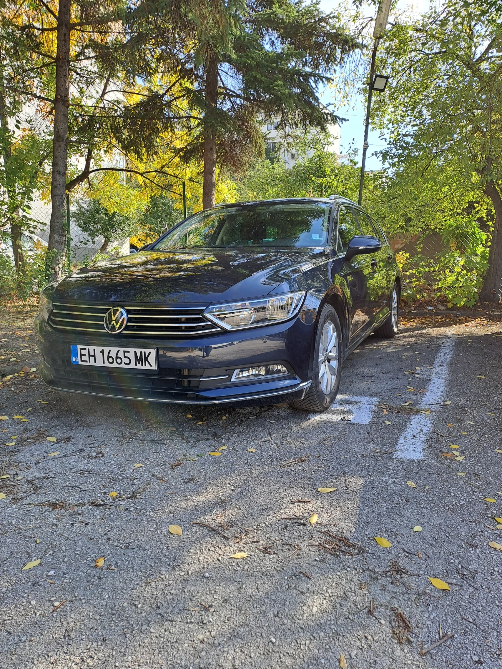 VW Passat Б8 - изображение 3
