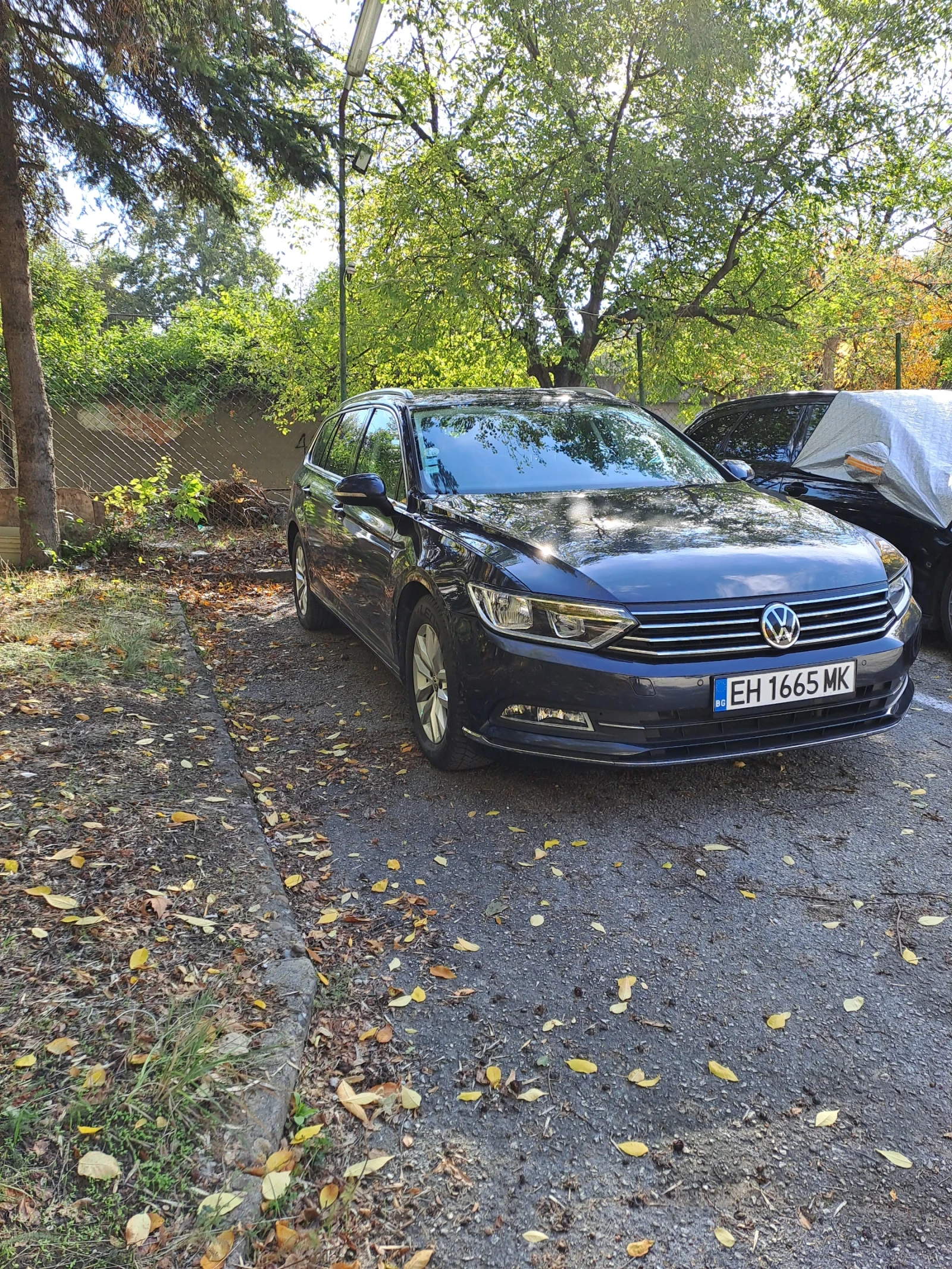VW Passat Б8 - изображение 4