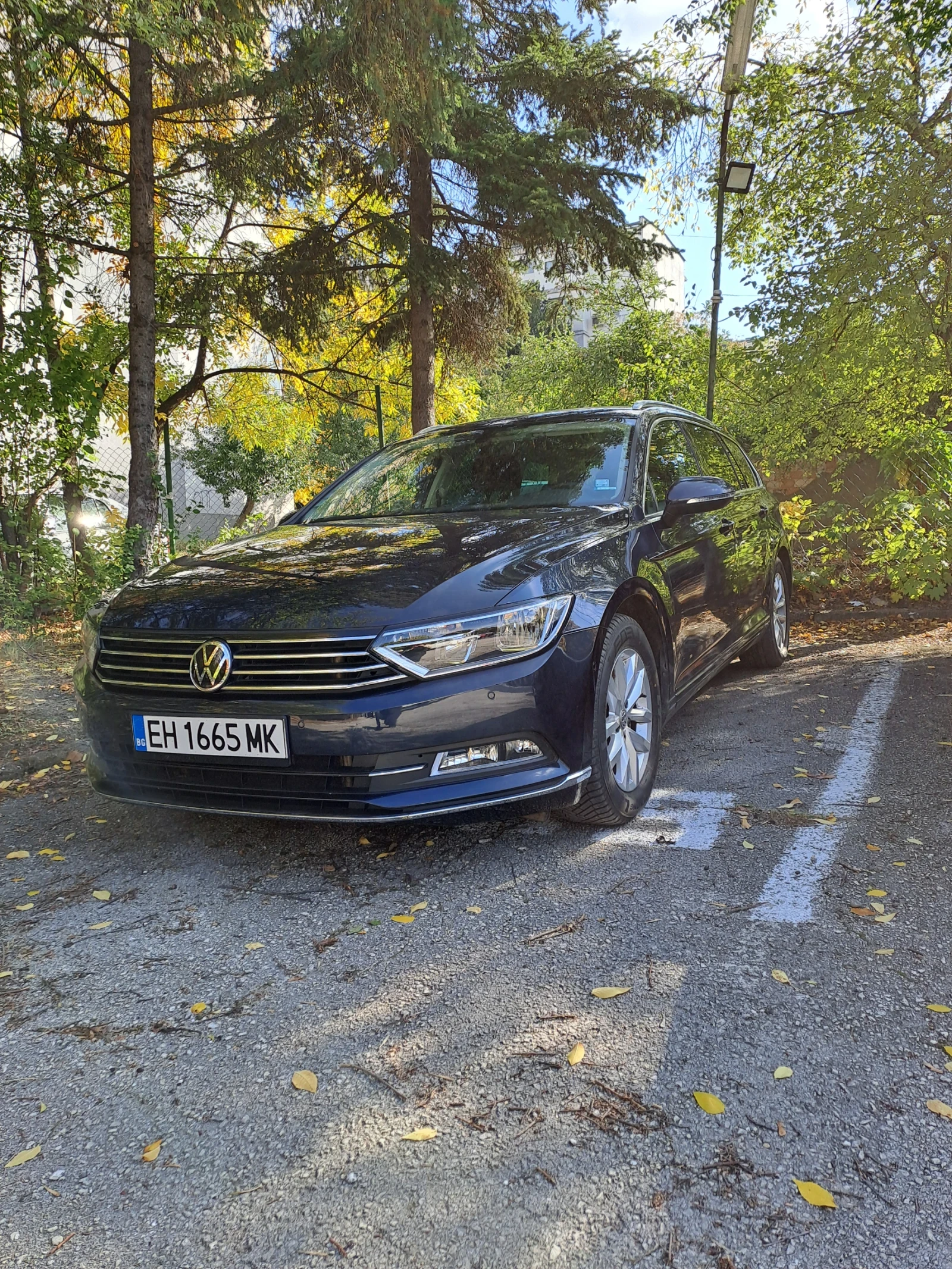 VW Passat Б8 - изображение 2