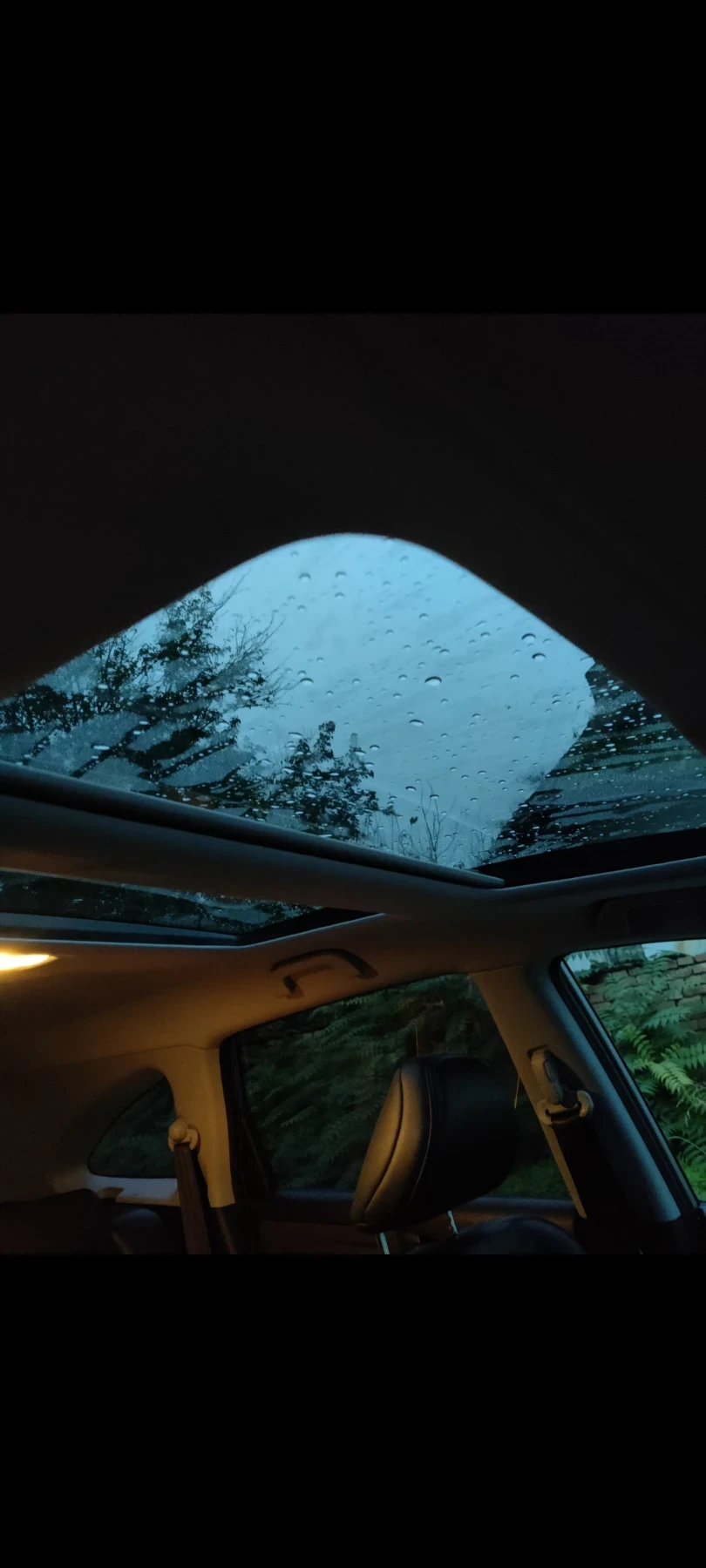 Honda Cr-v | Mobile.bg � ����������� 10