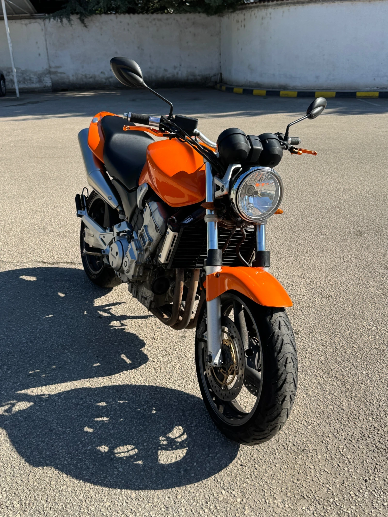 Honda Hornet