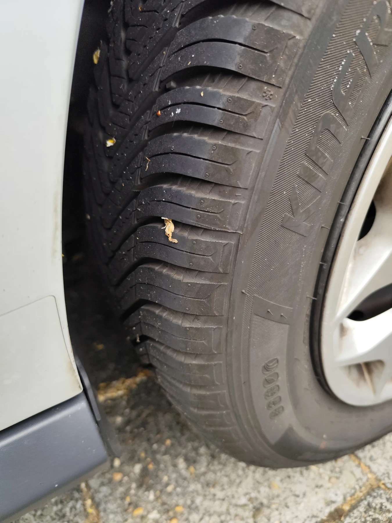 Ford Connect  - изображение 9