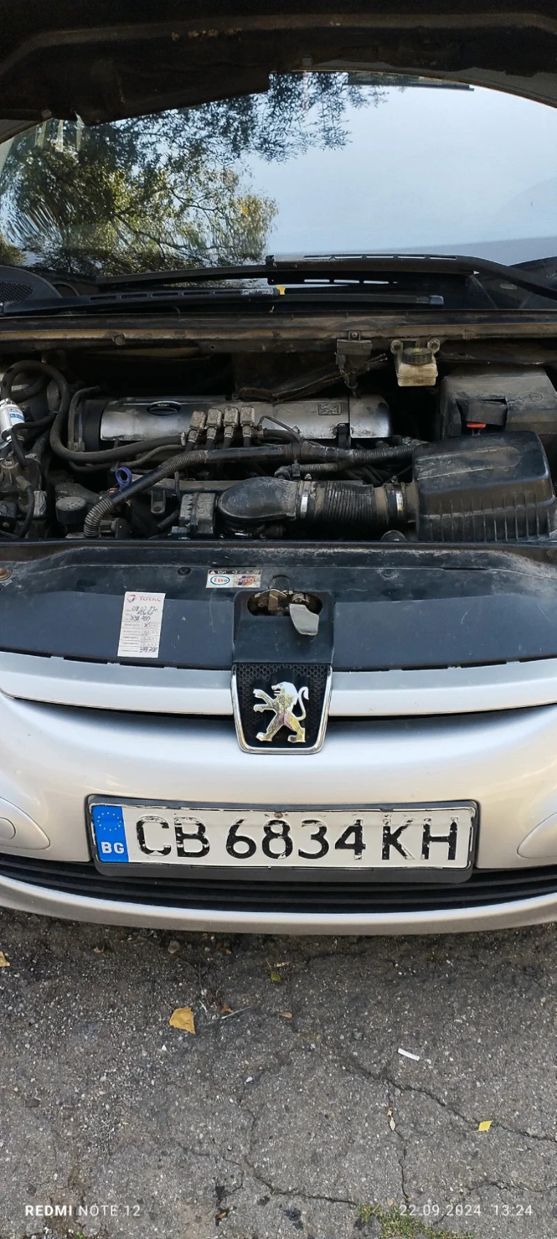 Peugeot 307, снимка 9 - Автомобили и джипове - 47324133